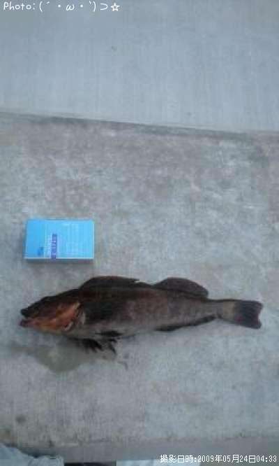 �����ʥ�