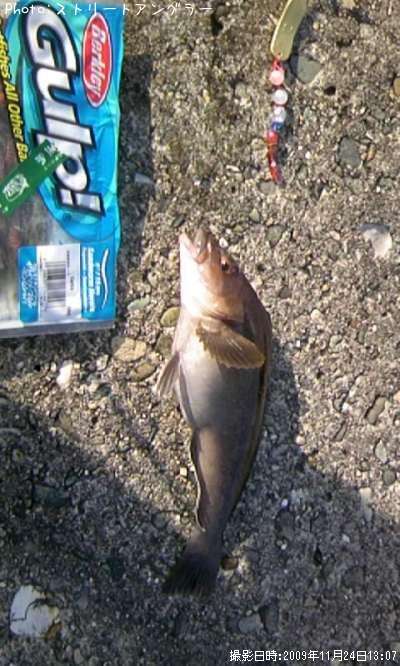 �����ʥ�