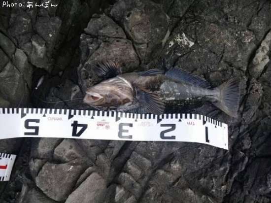 �����ʥ�