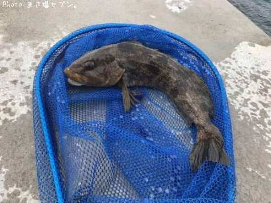 �����ʥ�