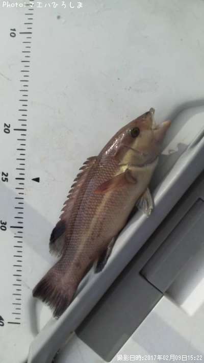 ���֥����λ�