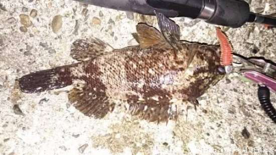 �����Υ���Х�