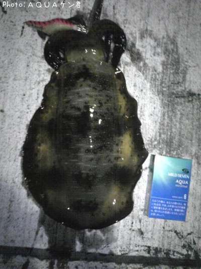 �����ꥤ��