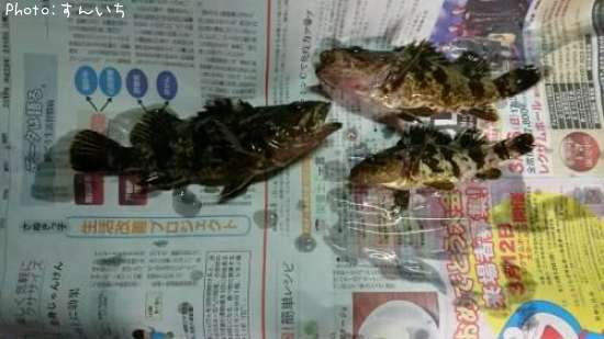 �����Υ���Х롩