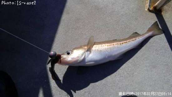 �����ȥ�����