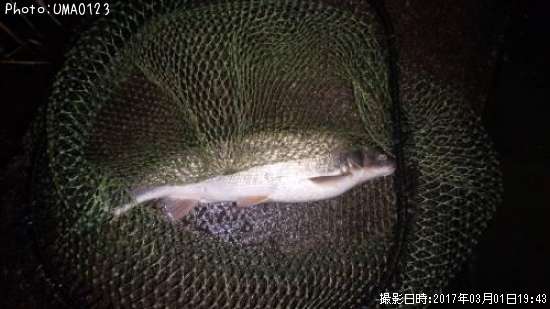 �ޥ륿������