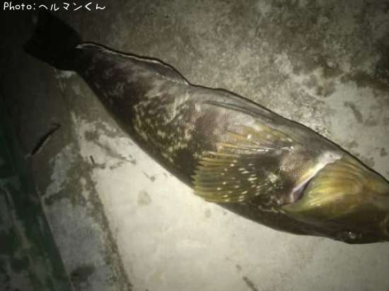 �����ʥ�