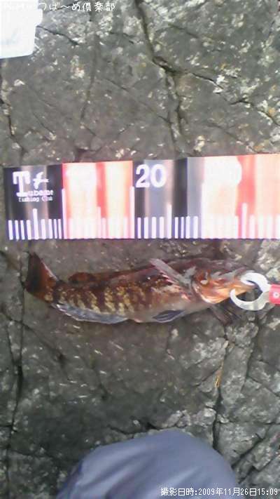 �����ʥ�