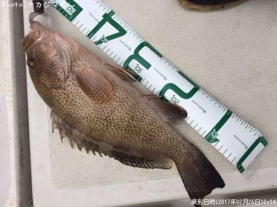 �������ϥ����ޥ���