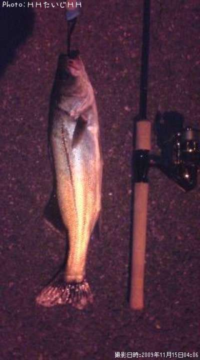 �����Х�