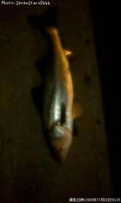 �����Х�