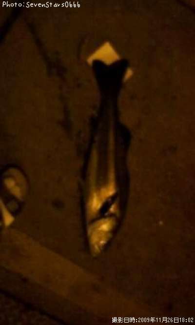 �����Х�