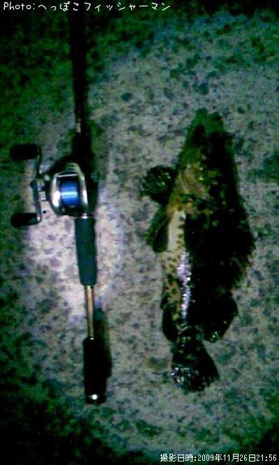 �٥å�������