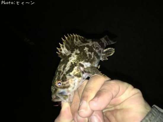 �������Υ���Х�