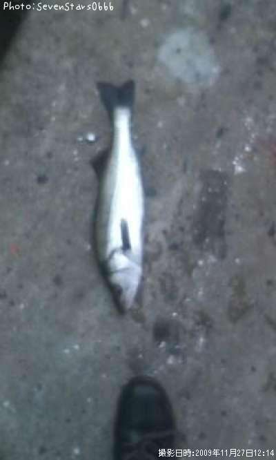 �����Х�