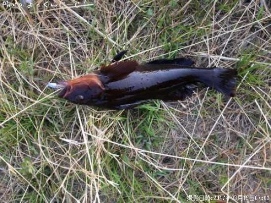 �����ʥ�