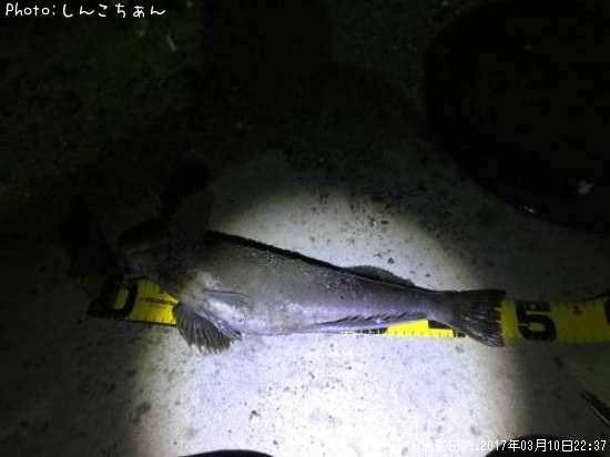 �����ʥ�