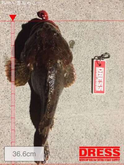 ���ॷ������