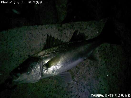 �ޥ륹����