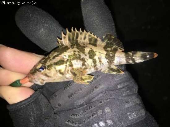 �����Υ���Х�