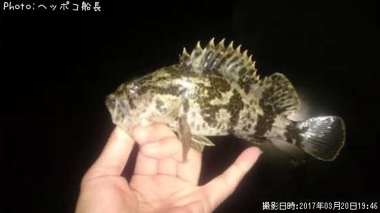 �����Υ���Х�