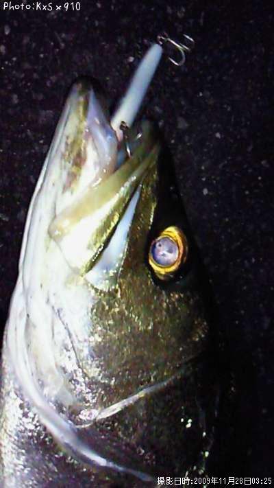 �����Х�