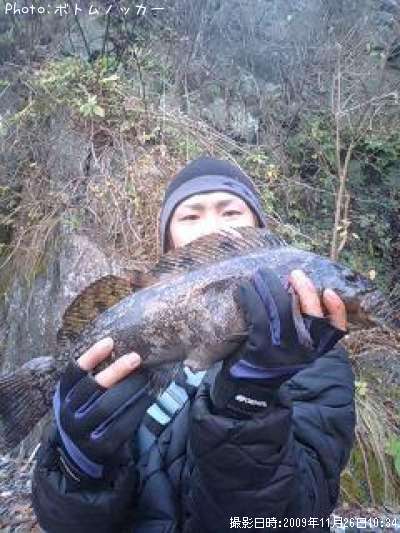 �����ʥ�