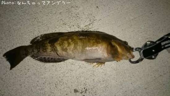 �����ʥ�