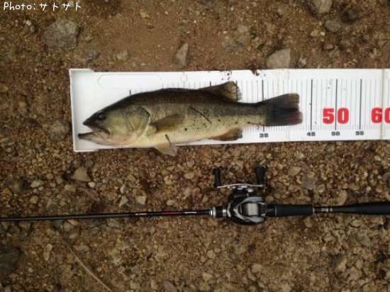 �֥�å��Х�