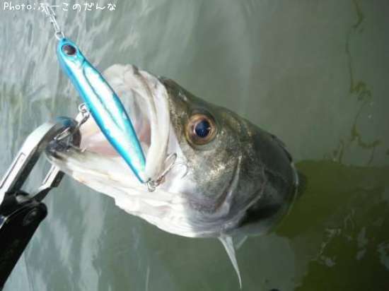 �����Х�