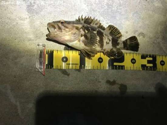 �����Υ���Х�