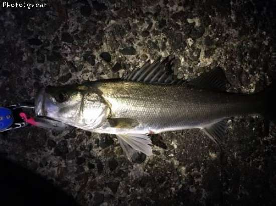 �����Х�