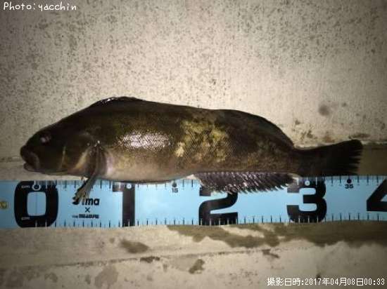 �����ʥ�