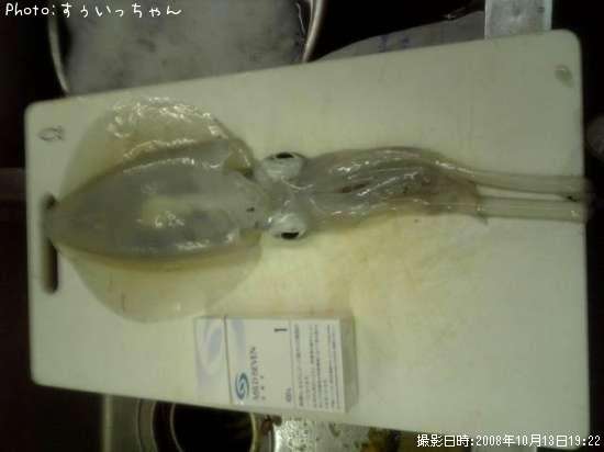 �����ꥤ��