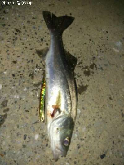 �����Х�