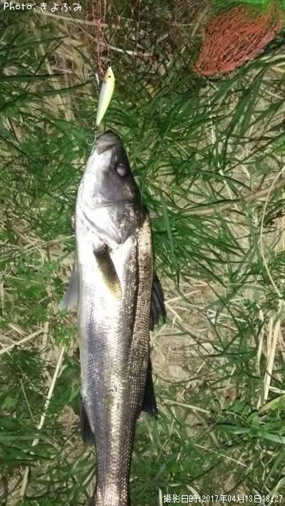 �����Х�