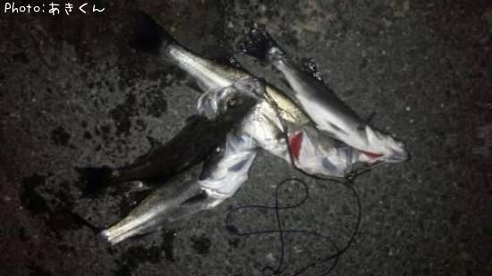 �����Х�