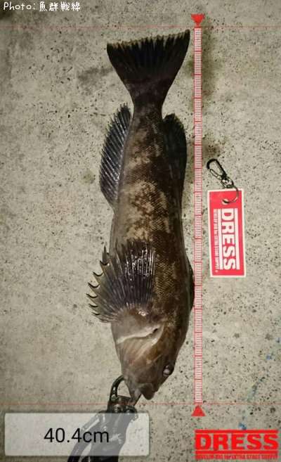 �����ʥ�