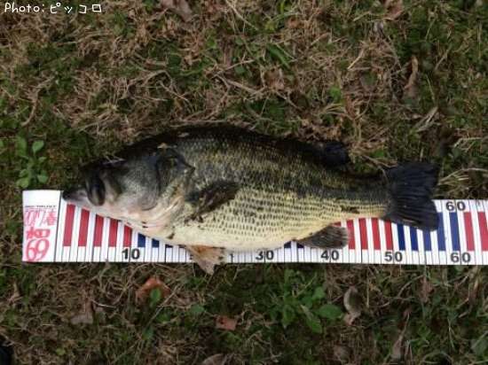 �֥�å��Х�