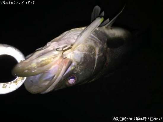 �����Х�