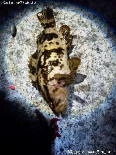 �����Υ���Х�