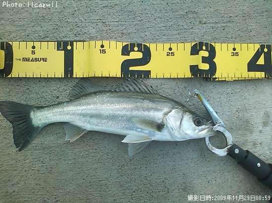 �����Х�