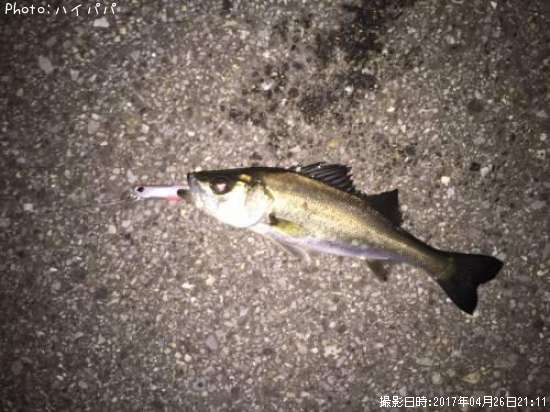 �����Х�