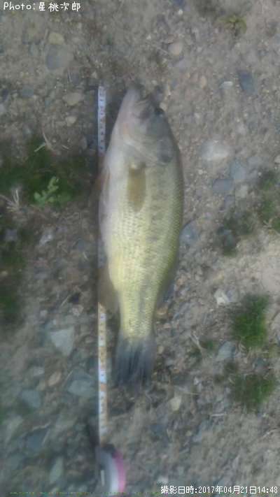 �֥�å��Х�