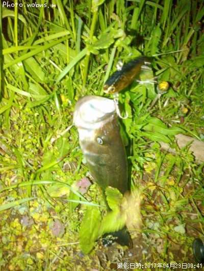 �֥�å��Х�