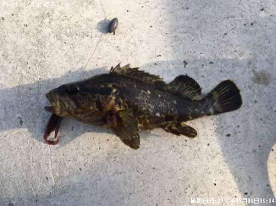 �����Υ���Х�