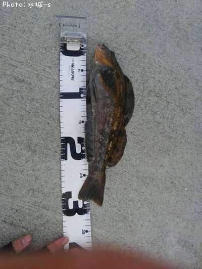 �����ʥ�