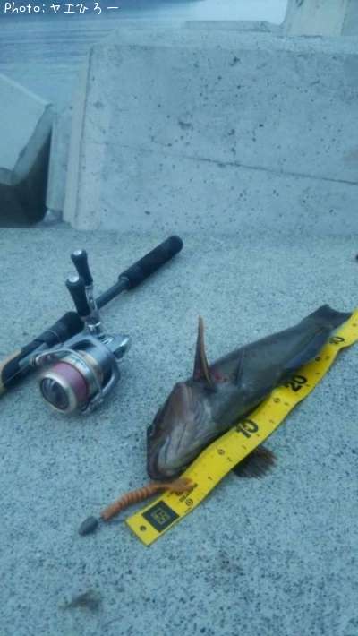 �����ʥ�