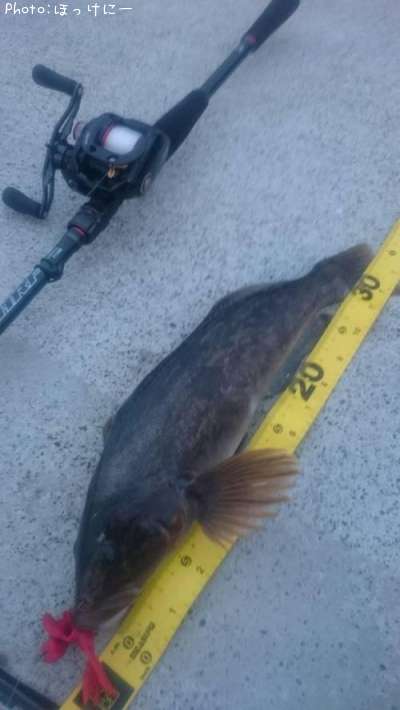 �����ʥ�