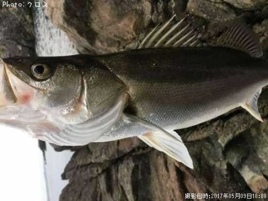 �����Х�